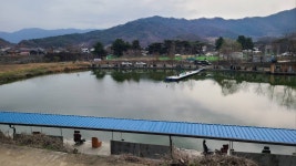 서곡 유료낚시터 > 새봄 새단장 시설도 깨끗하고~! 붕어도 깨끗합니다 ~! : 낚시사랑