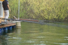 서울좌대 유료낚시터 > 서/울/좌/대 4월7일 조황 : 낚시사랑