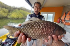 서울좌대 유료낚시터 > 서/울/좌/대 4월7일 조황 : 낚시사랑