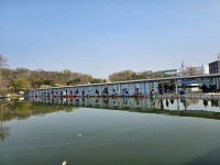 고잔낚시터 유료낚시터 > 주말 대량 방류 및 조과 사진(금일 포함) 전합니다 : 낚시사랑