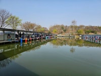 고잔낚시터 유료낚시터 > 주말 대량 방류 및 조과 사진(금일 포함) 전합니다 : 낚시사랑