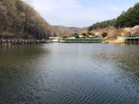 양평-대명낚시터 유료낚시터 > 2024년 4/13일[토] 물낚시개장 / 매주 900kg방류 // 매월3.6톤이상 방류!! : 낚시사랑