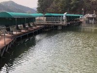양평-대명낚시터 유료낚시터 > 2024년 4/13일[토] 물낚시개장 / 매주 900kg방류 // 매월3.6톤이상 방류!! : 낚시사랑