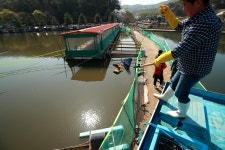 한터낚시터. 유료낚시터 > 한터 낚시터 2024년 04월13일(토요일) 오전 10시 향어 잉어 대량 방류했습니다.. : 낚시사랑