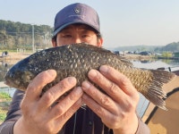 성호낚시터 유료낚시터 > 4짜에 월척 대박속출 성호낚시터. : 낚시사랑