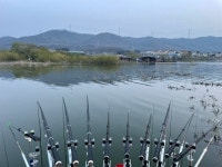 안골지 유료낚시터 > 아산 안골지 조황정보 입니다. : 낚시사랑