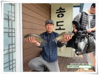 송도좌대 유료낚시터 > 꽃가루에 4짜. : 낚시사랑