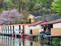 즐거운복상골 유료낚시터 > 산란 준비중입니다~~~ : 낚시사랑