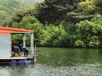 산들낚시터 유료낚시터 > 아산 산들낚시터의 4월20일 주말 토종 방류 모습 올립니다. : 낚시사랑