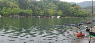 양평수곡낚시터 유료낚시터 > 봄붕어 힐링 수곡낚시터 주말 주후반 조황및 붕어방류 : 낚시사랑