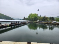 진우낚시터 유료낚시터 > 붕어방류와 조황정보~~~ : 낚시사랑