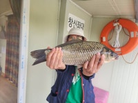 창신좌대 유료낚시터 > 송전지 창신좌대 조황정보 : 낚시사랑