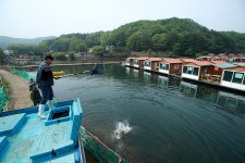 한터낚시터. 유료낚시터 > 한터 낚시터 2024년 4월26일(금요일) 붕어 향어 대량 방류했습니다 : 낚시사랑