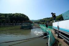 한터낚시터. 유료낚시터 > 한터낚시터 2024 / 04 /27 토요일 향어 붕어 대량 방류했습니다 : 낚시사랑