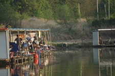 고담낚시터 유료낚시터 > 대량방류 와 조황입니다 . : 낚시사랑