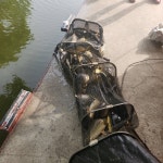 용대리낚시터 유료낚시터 > 주말 조황 및 방류!!! : 낚시사랑