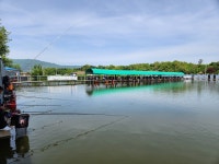 새마을낚시터 유료낚시터 > 주말 조황 : 낚시사랑