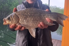 서울좌대 유료낚시터 > 서/울/좌/대 / 조황 보고 : 낚시사랑