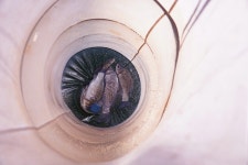 서울좌대 유료낚시터 > 서/울/좌/대 / 조황 보고 : 낚시사랑