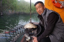 서울좌대 유료낚시터 > 서/울/좌/대 / 조황 보고 : 낚시사랑