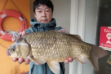 서울좌대 유료낚시터 > 서/울/좌/대 / 조황 보고 : 낚시사랑