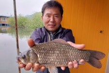 서울좌대 유료낚시터 > 서/울/좌/대 / 조황 보고 : 낚시사랑