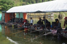 고담낚시터 유료낚시터 > 잔교좌대 3등 축하축하 : 낚시사랑