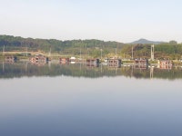 성호낚시터 유료낚시터 > 꽃가루먹은 덩어리 조황정보 성호낚시터. : 낚시사랑