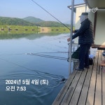 양평그린낚시터 유료낚시터 > 양평 그린낚시터 5/4 (토) 조황 정보 및 방류 소식 : 낚시사랑