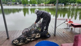 안성 거청낚시터 유료낚시터 > 5월 6일 배수없는 거청낚시터 조황 : 낚시사랑 안성 거청낚시터 유료낚시터 > 5월  6일  배수없는  거청낚시터... 