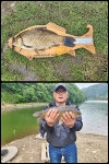원주고산낚시터 유료낚시터 > [ 원주 고산지 ] 묵직한 손맛 45cm와 빵덩어리들의 잔치 : 낚시사랑
