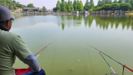 안성 거청낚시터 유료낚시터 > 5 월 11 일 배수없는 거청낚시터 붕어조황 : 낚시사랑