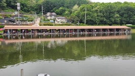 장광낚시터 유료낚시터 > 안성[장광] 5 월 13 일 주말방류~조황소식~5월19일 시조회관계로 낚시불가 : 낚시사랑