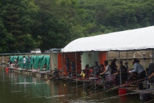 고담낚시터 유료낚시터 > 주말 대박조황 붕어방류 : 낚시사랑