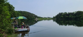 양평수곡낚시터 유료낚시터 > 오월 힐링 양평 수곡낚시터 넷째주말 조황 및 붕어 방류 : 낚시사랑