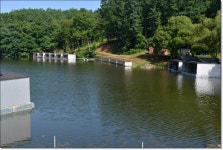 산우물낚시터 유료낚시터 > 당찬 손맛 풍요로움이 함께하는 산우물낚시터 : 낚시사랑