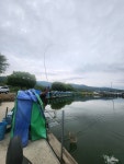 마전낚시공원 유료낚시터 > 터져버린 주말 조황 : 낚시사랑