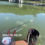 양평그린낚시터 유료낚시터 > 양평 그린낚시터 5/28 (화) 조황 정보 및 방류 소식 : 낚시사랑