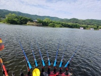 안골지 유료낚시터 > 5/29 아산 안골지 조황정보 입니다. : 낚시사랑