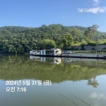 양평그린낚시터 유료낚시터 > 양평 그린낚시터 5/31 (금) 조황 정보 및 방류 소식 : 낚시사랑