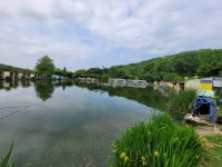 즐거운복상골 유료낚시터 > 장어 방류 시작합니다~~~ : 낚시사랑