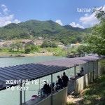 양평그린낚시터 유료낚시터 > 양평 그린낚시터 6/1 (토) 조황 정보 및 방류 소식 : 낚시사랑