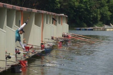 고담낚시터 유료낚시터 > 주말 대박조황 붕어방류 : 낚시사랑