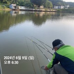 양평그린낚시터 유료낚시터 > 양평 그린낚시터 6/12 (수) 조황 정보 및 방류 소식 : 낚시사랑