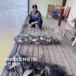 양평그린낚시터 유료낚시터 > 양평 그린낚시터 6/16 (일) 조황 정보 및 방류 소식 : 낚시사랑