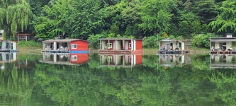 양평수곡낚시터 유료낚시터 > 6월중순 둘째주 힐링 수곡낚시터 주후반 주말도 좋은 조황들이네요 화,목,토 붕어방류 : 낚시사랑