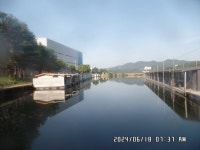 도곡낚시터 유료낚시터 > 도곡낚시터 붕어 조황 정보 감사합니다 : 낚시사랑