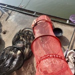 용대리낚시터 유료낚시터 > 용대리 조황 정보 및 방류!! : 낚시사랑