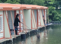 농촌지낚시터 유료낚시터 > -농촌지 조황 안내 - : 낚시사랑