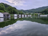 상곡낚시터 유료낚시터 > 토종붕어 전문 낚시터~~~조황정보................ : 낚시사랑